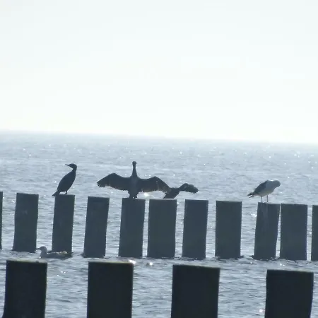 Letniskowe Wikar Wicie (West Pomeranian)